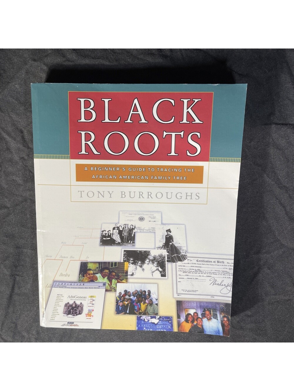 Black Roots: A Beginners Guide To Tracing The African American Family Tree